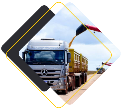 Torchetto Transportes